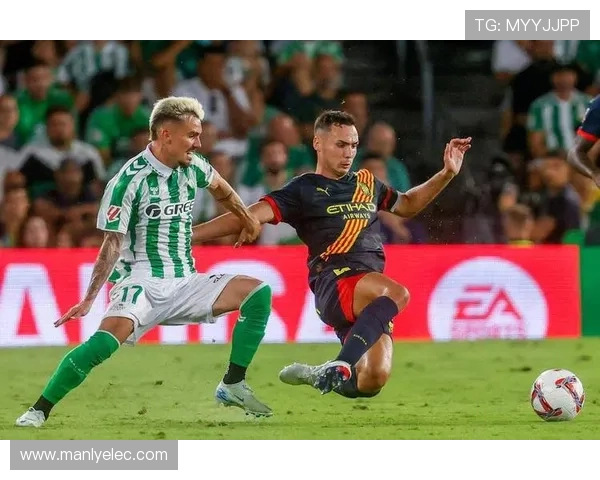 足球明星加内儿的传奇之路与辉煌成就全景回顾