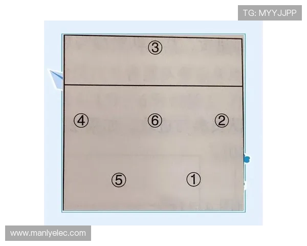 广州排球队的控制打法深度分析与战术解析