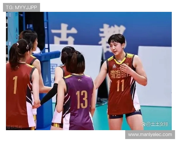 武汉排球队在总决赛中的强势表现与未来发展潜力分析